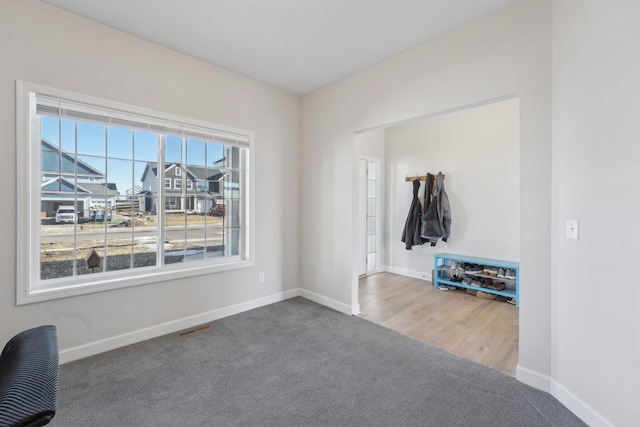 18357 Glacier Way, Lakeville, MN 55044 - carpeted empty room with baseboards and visible vents