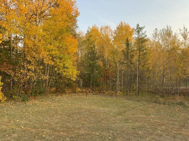 6231 164th St NW, Cass Lake, MN 56633 - view of landscape with a wooded view