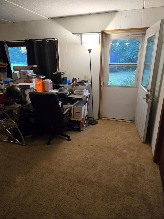 home office with light carpet
