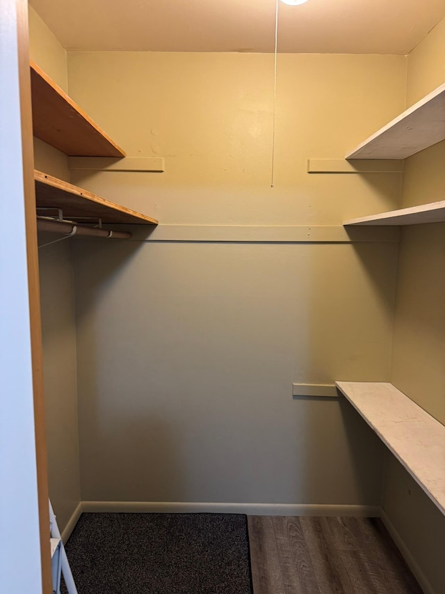 spacious closet featuring dark wood finished floors