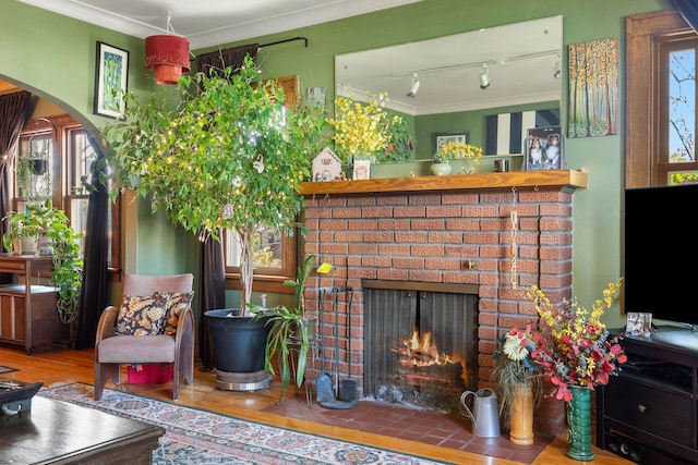 living area with ornamental molding, wood finished floors, arched walkways, rail lighting, and a fireplace