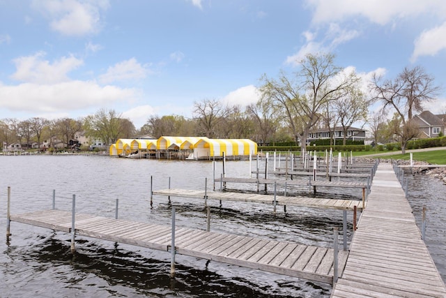 dock area with a water view