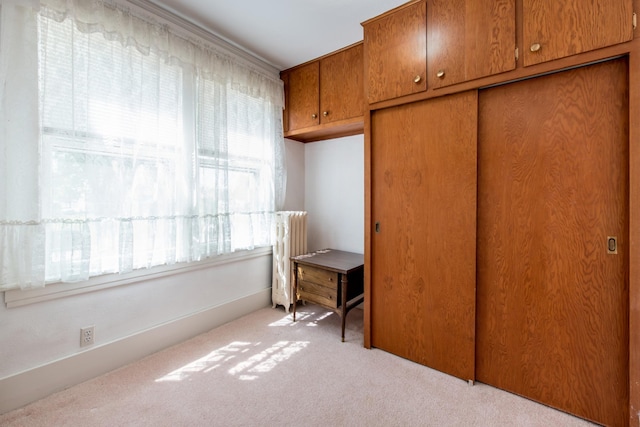 106 4th St, Cyrus, MN 56323 - unfurnished bedroom with carpet flooring, a closet, and radiator heating unit