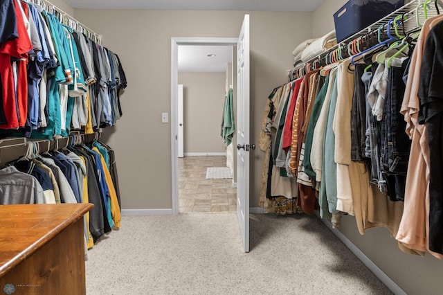 spacious closet featuring carpet