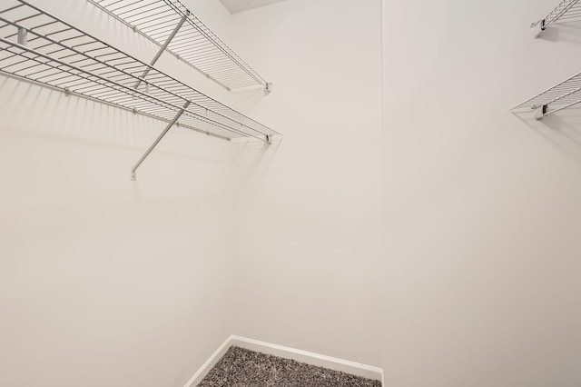 401 1st St Unit 414, Minneapolis, MN 55401 - spacious closet featuring carpet floors