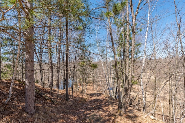 view of local wilderness