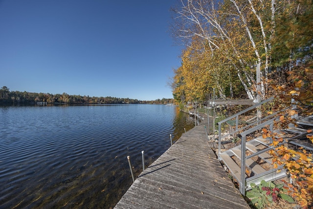 dock area with a water view