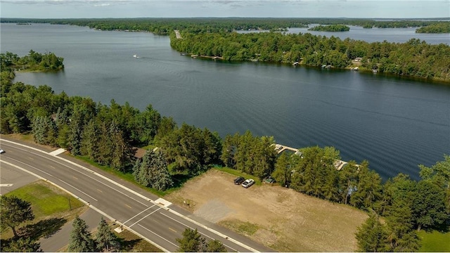 drone / aerial view with a water view and a view of trees