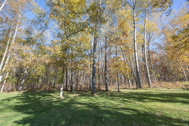 view of yard with a forest view