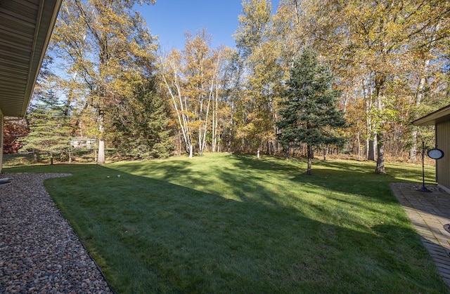 view of yard