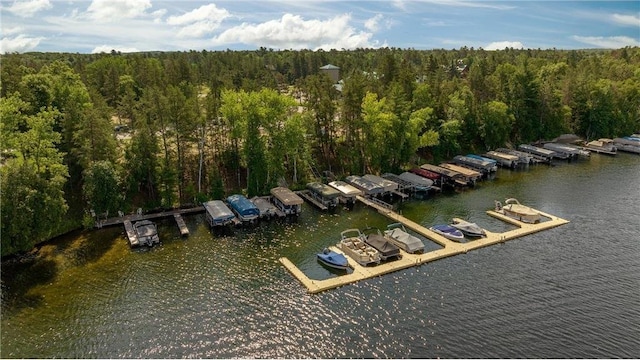 aerial view featuring a view of trees and a water view