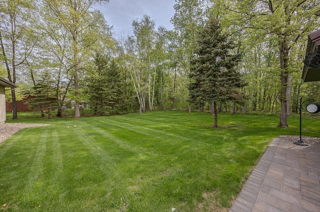 37138 Blacksmith Pl, Crosslake, MN 56442 - view of green lawn