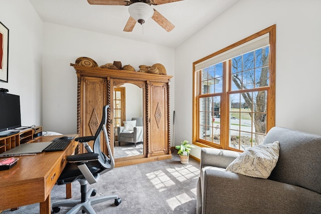 3412 Williamsburg Pkwy, Woodbury, MN 55129 - carpeted office space with ceiling fan