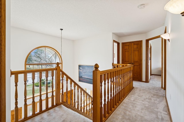 3412 Williamsburg Pkwy, Woodbury, MN 55129 - stairs featuring carpet floors and an inviting chandelier