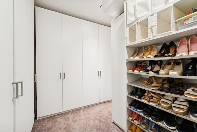 3412 Williamsburg Pkwy, Woodbury, MN 55129 - spacious closet with light carpet