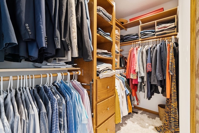 3412 Williamsburg Pkwy, Woodbury, MN 55129 - walk in closet featuring carpet flooring
