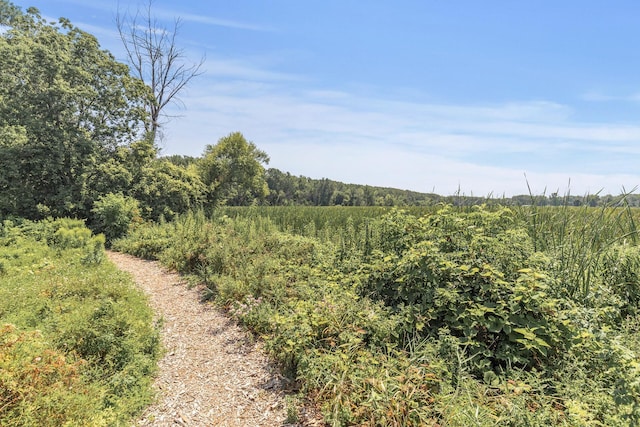 view of landscape with a wooded view