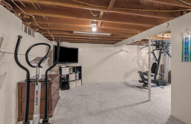 956 10th Ave SE, Forest Lake, MN 55025 - workout room featuring concrete block wall and carpet floors