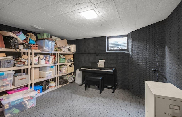 956 10th Ave SE, Forest Lake, MN 55025 - view of storage room