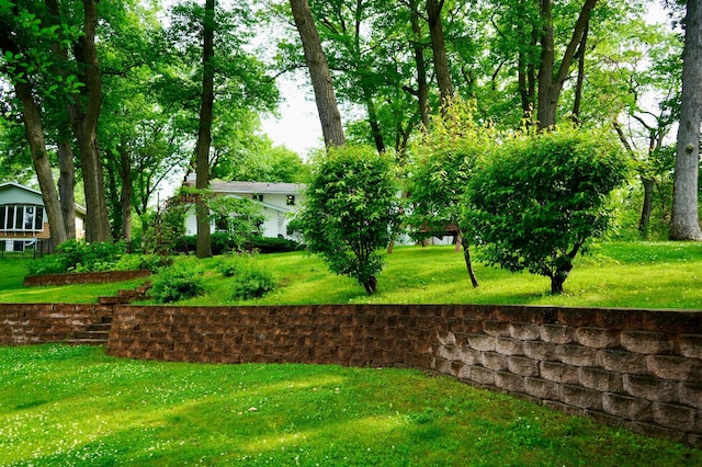 956 10th Ave SE, Forest Lake, MN 55025 - view of grassy yard