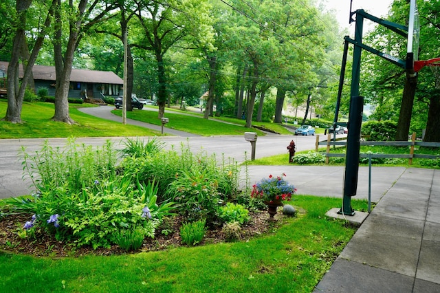 956 10th Ave SE, Forest Lake, MN 55025 - view of community with a yard