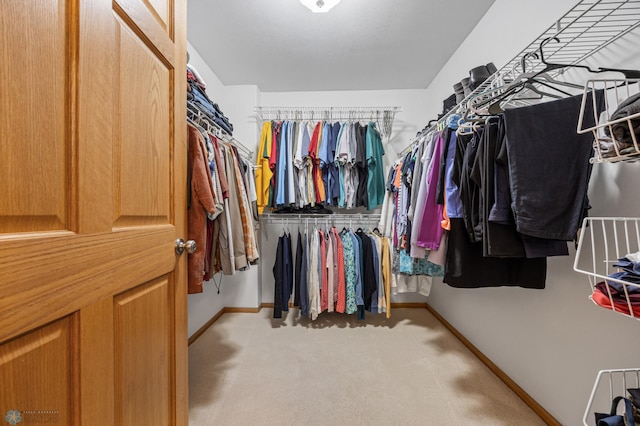spacious closet featuring carpet