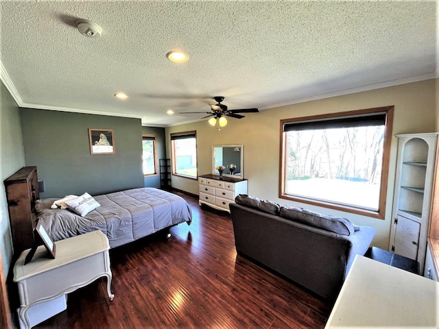 bedroom featuring crown molding, a textured ceiling, multiple windows, wood finished floors, and ceiling fan