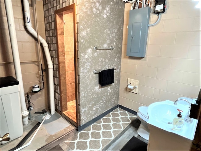 full bathroom featuring electric panel, a stall shower, and a sink