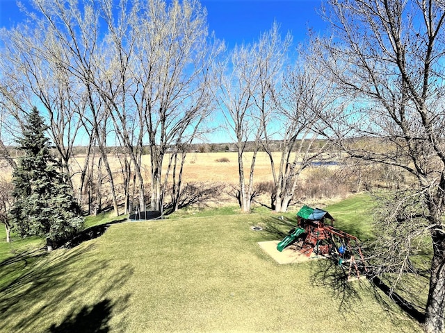 view of grassy yard
