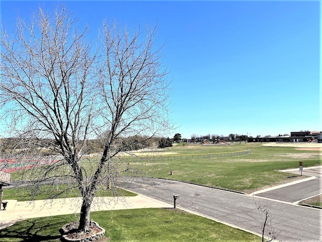 view of community with a lawn