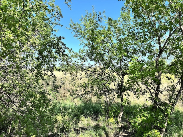 view of undeveloped land