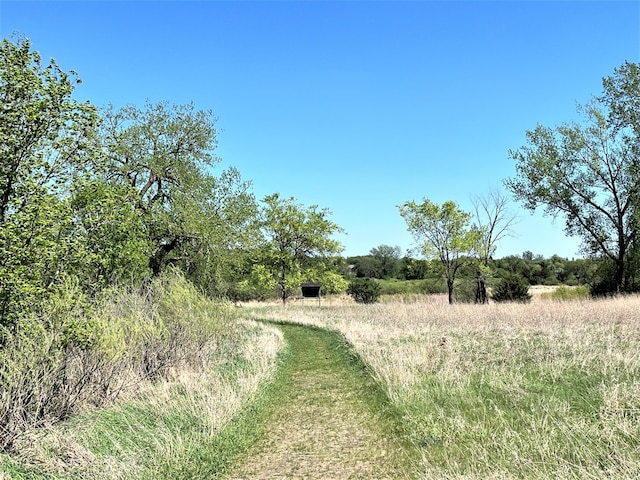 view of local wilderness