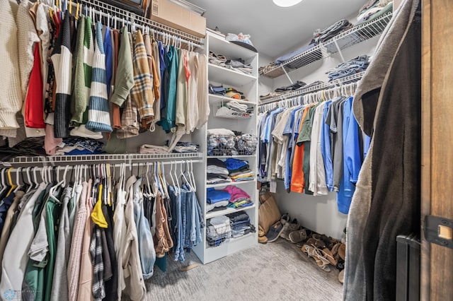 134 Newport Pkwy N, Kindred, ND 58051 - walk in closet with carpet