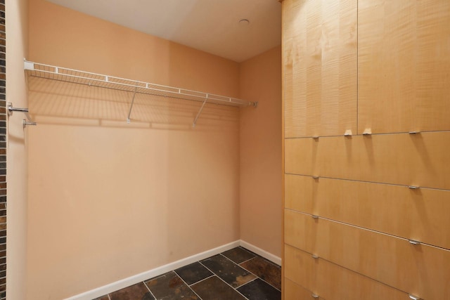 1235 Yale Pl Unit 1706, Minneapolis, MN 55403 - view of walk in closet