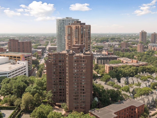 1235 Yale Pl Unit 1706, Minneapolis, MN 55403 - city view