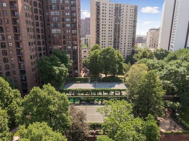 1235 Yale Pl Unit 1706, Minneapolis, MN 55403 - property's view of city