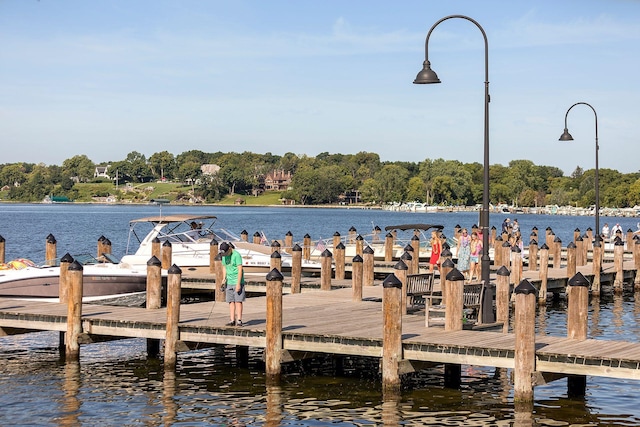 215 Barry Ave S Unit 116And 114, Wayzata, MN 55391 - dock area featuring a water view
