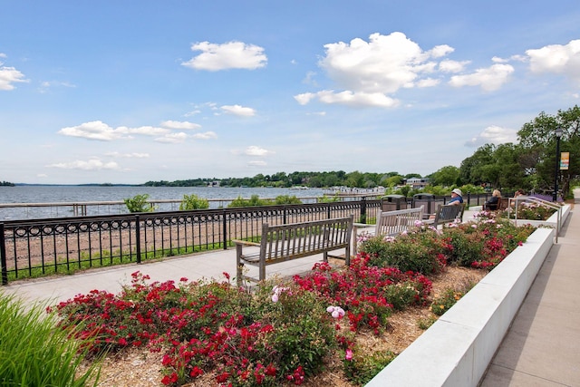 215 Barry Ave S Unit 116And 114, Wayzata, MN 55391 - view of property's community with a water view