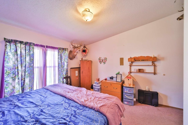 400 Riverdale Dr, Aitkin, MN 56431 - photo 29
