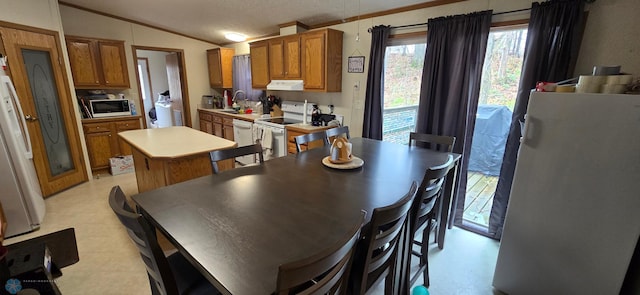 dining room with ornamental molding, washer / clothes dryer, and lofted ceiling
