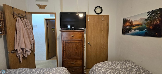 24744 Mound Rd, Dane Prairie Twp, MN 56537 - view of carpeted bedroom