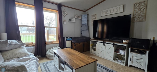 24744 Mound Rd, Dane Prairie Twp, MN 56537 - living room featuring crown molding, light carpet, and lofted ceiling