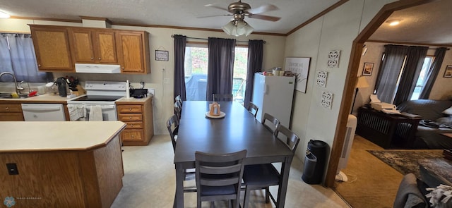 24744 Mound Rd, Dane Prairie Twp, MN 56537 - kitchen with white appliances, ventilation hood, ceiling fan, vaulted ceiling, and crown molding