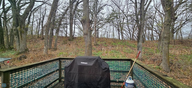 24744 Mound Rd, Dane Prairie Twp, MN 56537 - wooden deck with area for grilling