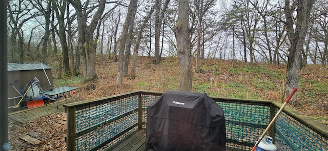 24744 Mound Rd, Dane Prairie Twp, MN 56537 - wooden terrace featuring a grill
