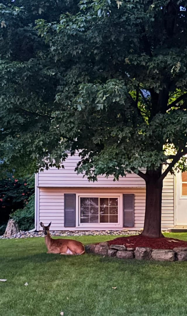 20170 Dunbar Ave, Farmington, MN 55024 - view of front facade featuring a front yard