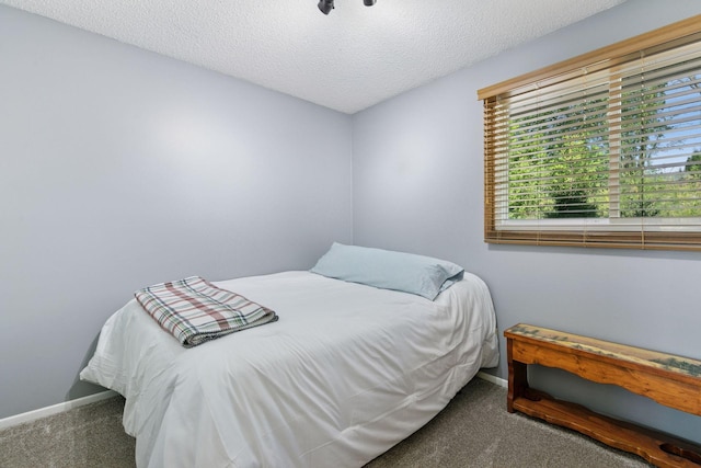 20170 Dunbar Ave, Farmington, MN 55024 - carpeted bedroom featuring baseboards and a textured ceiling