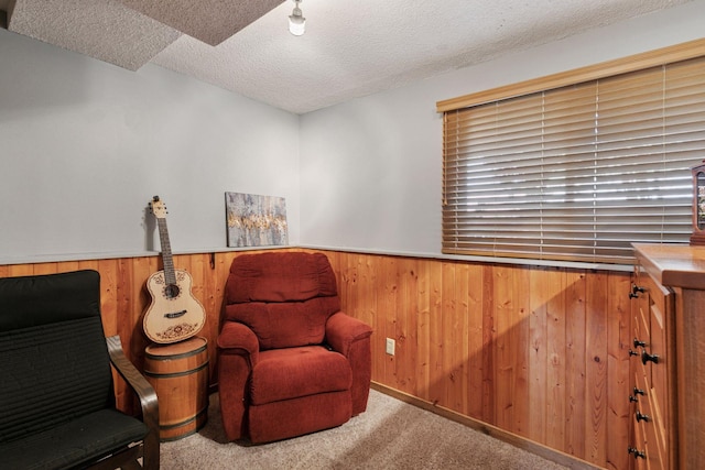 20170 Dunbar Ave, Farmington, MN 55024 - sitting room featuring wainscoting, carpet flooring, a textured ceiling, and wooden walls