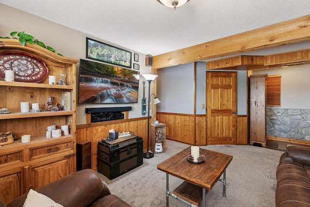 20170 Dunbar Ave, Farmington, MN 55024 - living area featuring a wainscoted wall, carpet flooring, wooden walls, and a textured ceiling
