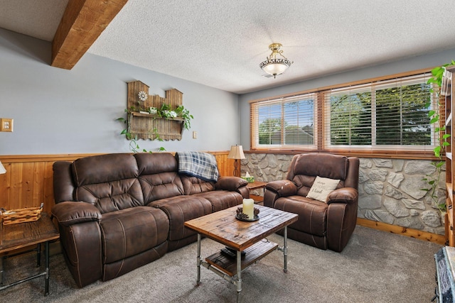 20170 Dunbar Ave, Farmington, MN 55024 - carpeted living area with wainscoting, a textured ceiling, and wood walls